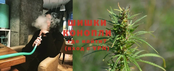 PSILOCYBIN Верея