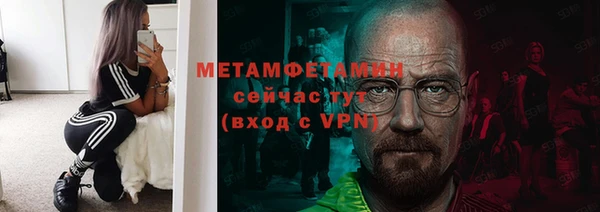 прущие грибы Бронницы