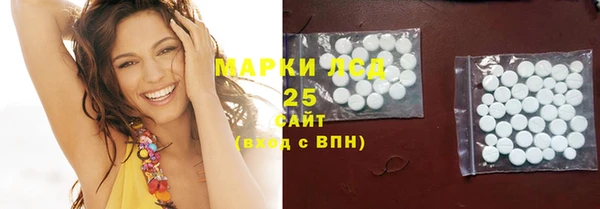 прущие грибы Бронницы