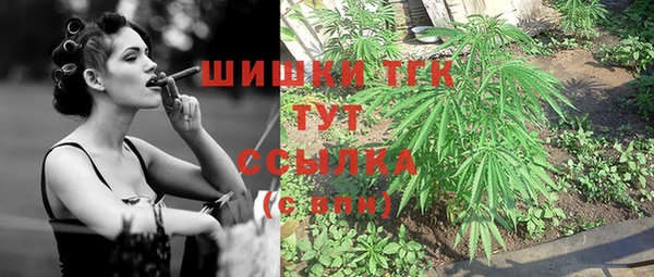 гашик Верхний Тагил