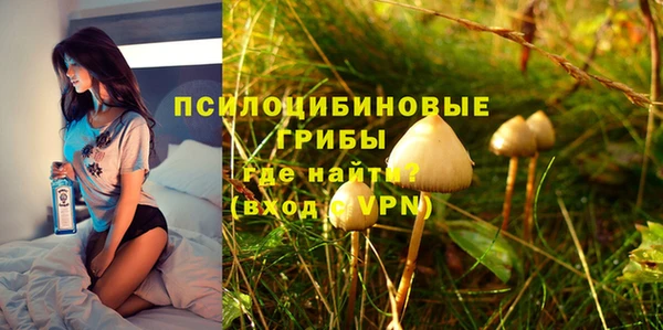 гашик Верхний Тагил