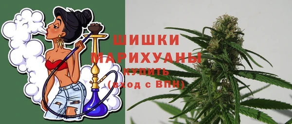 прущие грибы Бронницы