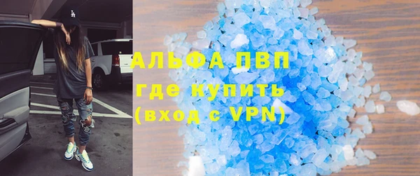 трава Бородино